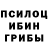 Галлюциногенные грибы ЛСД toskuh1