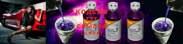 крисы Медвежьегорск