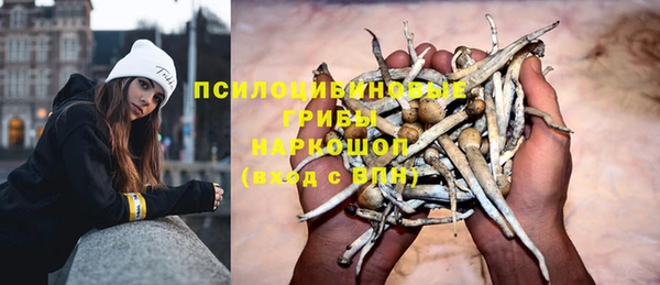 apvp Михайловск